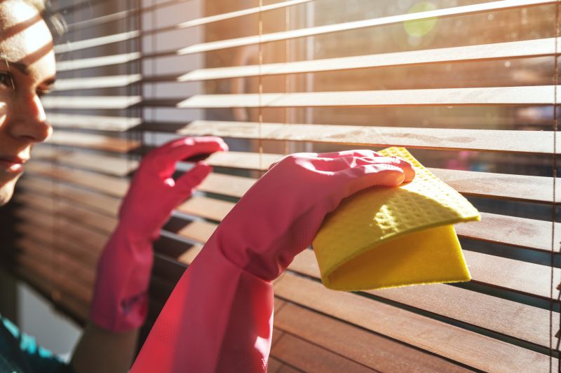 Window Blinds Cleaning in Madison, WI